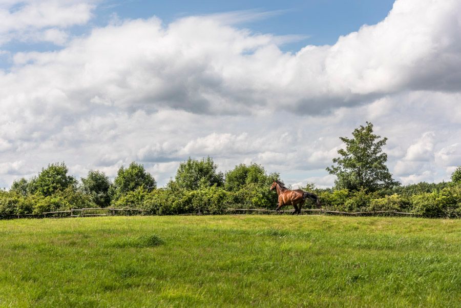 Gut Knoop bei Kiel Location Galerie 07