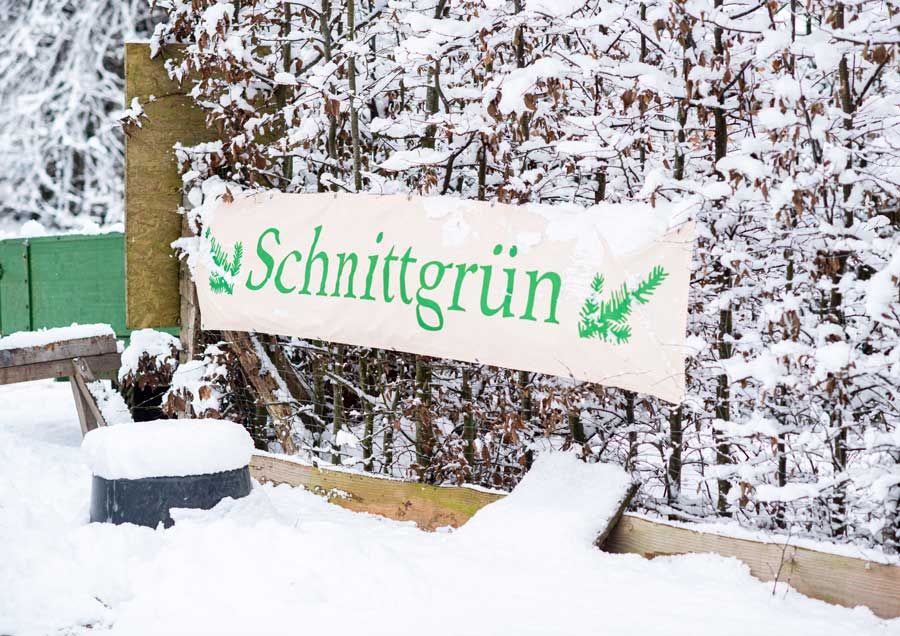 Weihnachtsbäume und Tannengrün