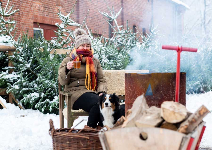 Weihnachtsbäume und Tannengrün